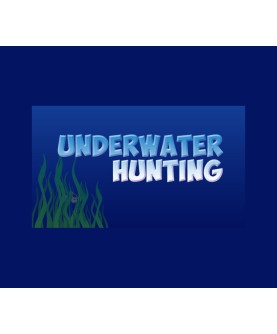 Underwater hunting Steam Key GLOBAL
